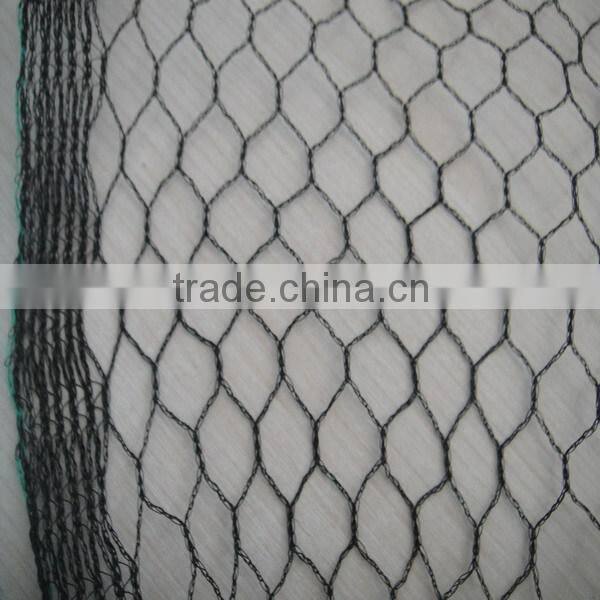 diamond shape monofilament 25g anti bird net for fruit orchards