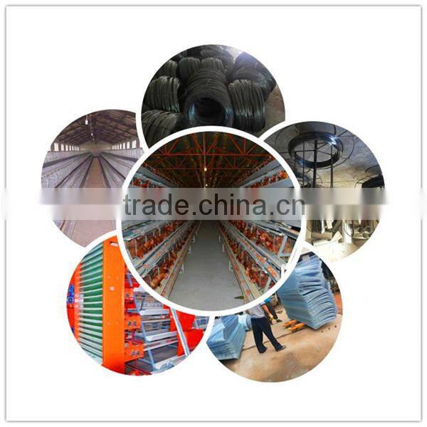 Steel galvanized chicken laying cage with auto drinker and feeder