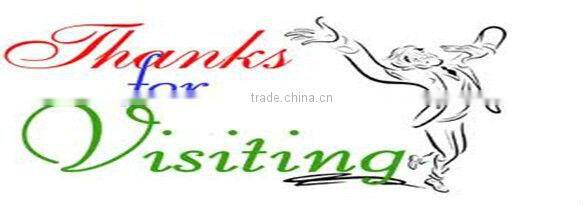 Ladies Fine Scoop neckline Stripe T shirt