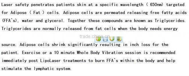 NO.1 2013-2017 10 paddles !!!popular 650nm laser, lipolaser equipment ( Amazing Result at Fat loss!!!!!!!!!)