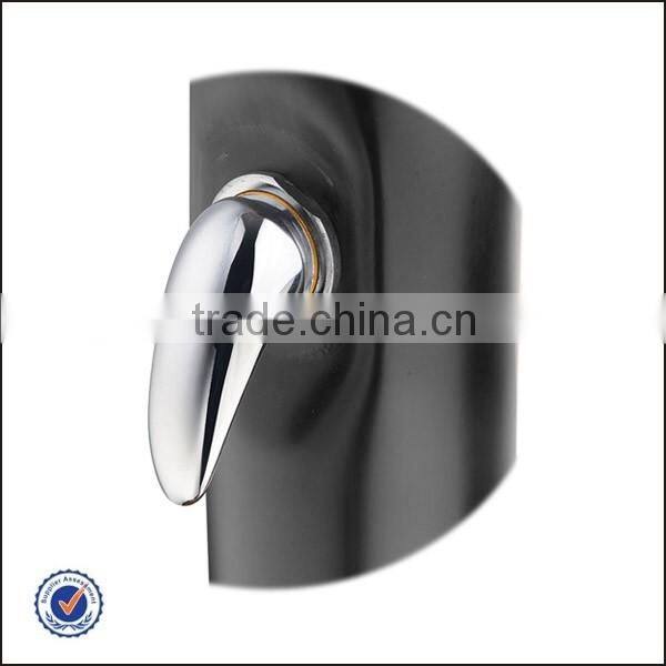 Straight Chromed Outdoor Solar Showers