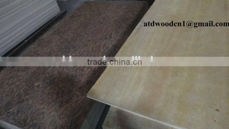 EV Black Burl MDF Board from Linyi China