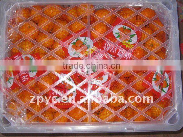 Fresh Chinese baby mandarin