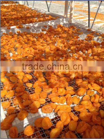Chinese Tomato 6x6 ,3x3 ,9x9 mm