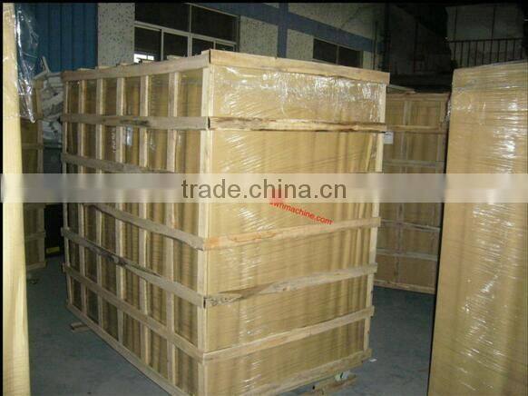 Three wheel triporteur electric cargo trike reverse trike for sale