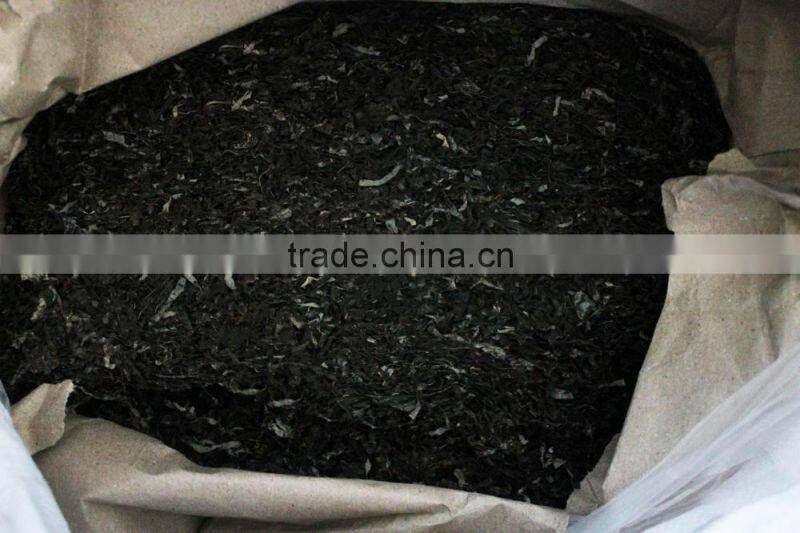 Organic kelp cut/ export to Russia and Ukraine/ good healthy seaweed food, wholesale price