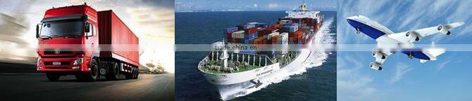 Mulity change roller wheeled lawn moss removal rake