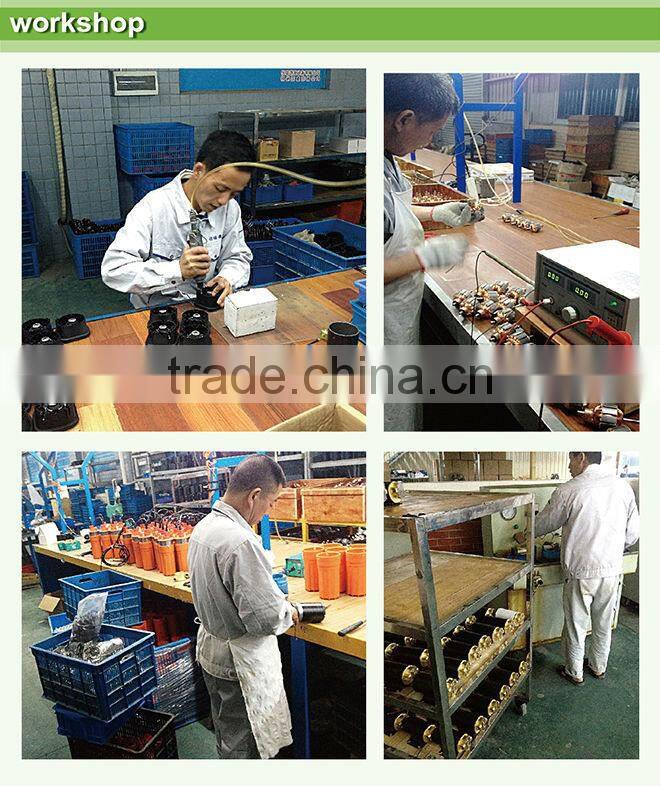 Singflo 12v 14L/min oil transfer gear pump