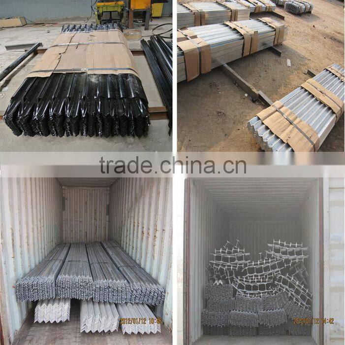 China new design hot sale galvanized triple pointed w section palisade fence