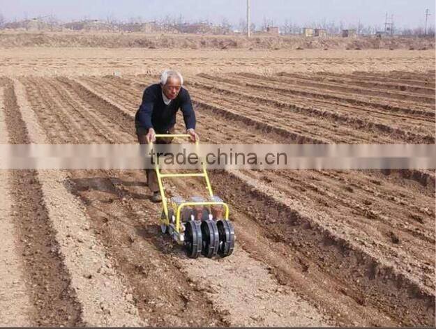 Wholesale agricultural seeder onion