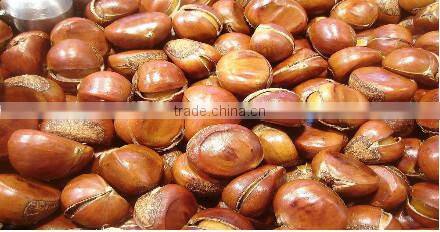 multi-function round type nuts roaster