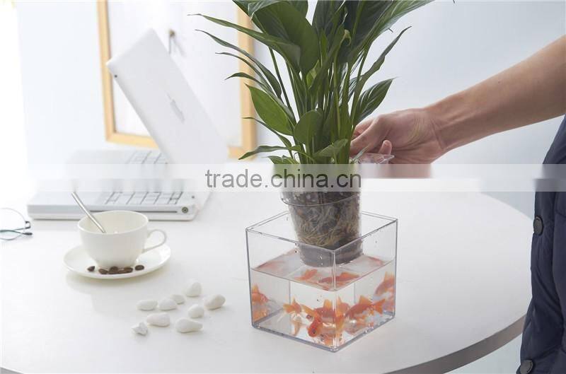 Round Clear Plastic Orchid Pot