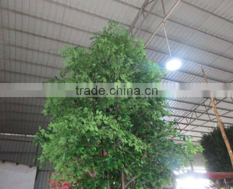 SJ23 Artificial banyan tree