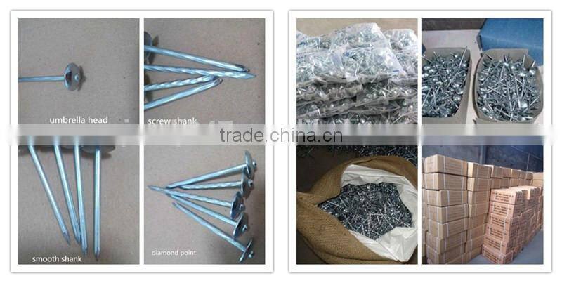 Galvanized roofing felt nails from guangzhou supplier