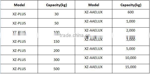 Capacity 0.3T-15T Digital Hoist Scale With High Quality