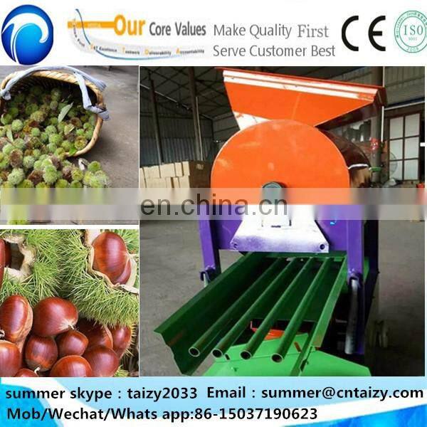 Thorn stab removal chestnut huller