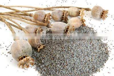 Sesame Seeds Cleaning and Stoving Machine|Sesame Seed Washer and Dryer