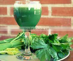 herbal spirulina powder for body fitness