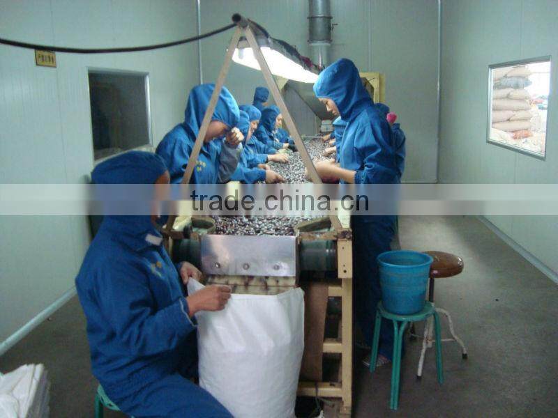 Large Black Speckled Kidney Beans, max. 55/100gr