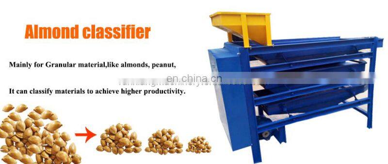 Pecans Walnut classifier grader sorter Huller Sheller Processing Machine Line machine