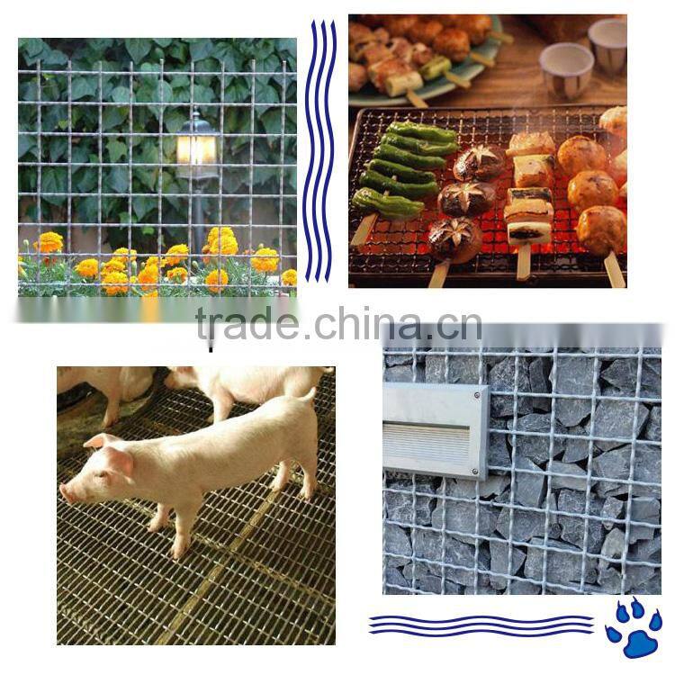 stainless steel crimped wire mesh/galvanized crimped wire mesh