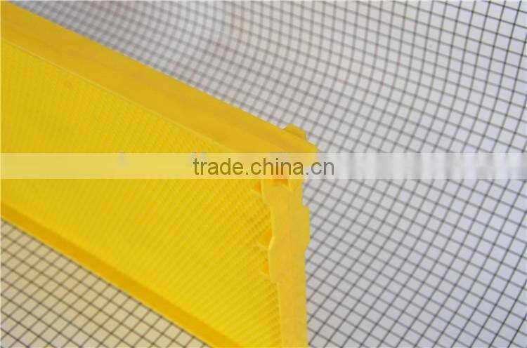 Plastic beehive frame withfoundation sheet