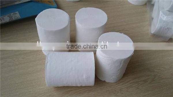 coreless toilet paper without paper core