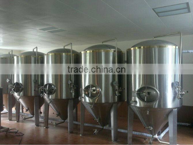 Ruijia 100L 300L 500L industial brewing equipment , commercial beer brewery,mash tun, fermenter,beer keg for sale