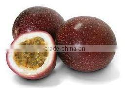 Organic Fresh Passion Fruit From Thailand