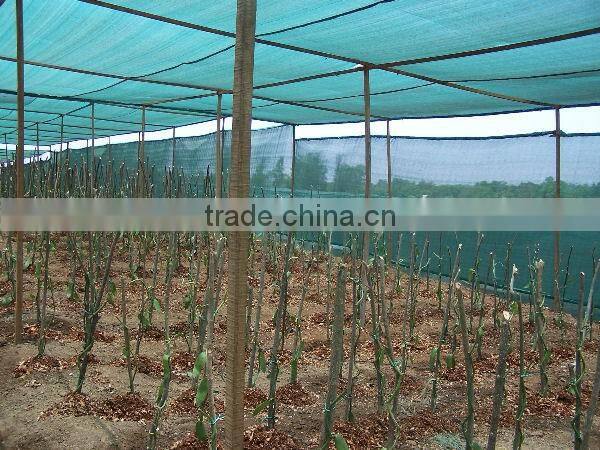 sun shade net/agriculture shade net/sun shade net price/green shade net