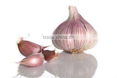 Odorless garlic extract Allicin 0.2% 1% 1% 3% 5% HPLC