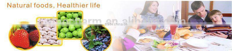 Wholesale Frozen Yellow Peach Slices