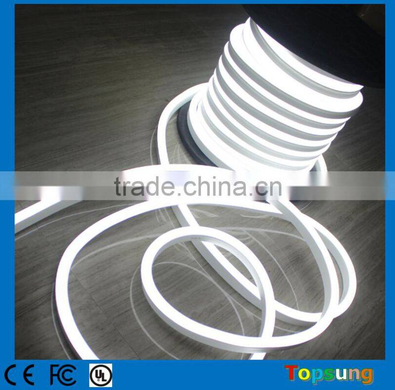 Trade assurance professional top view led neon tube factory