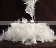 Good quality 2-4cm Washed White Duck Feather