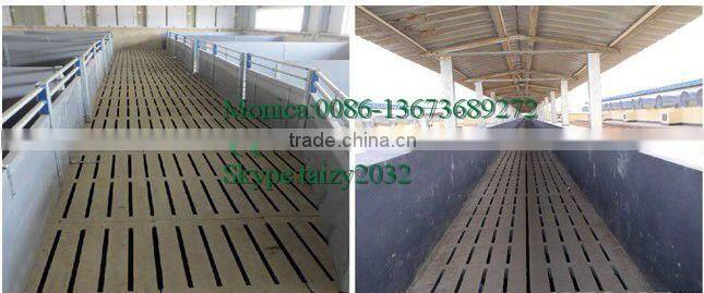 Poultry plastic flooring for dung easy handle