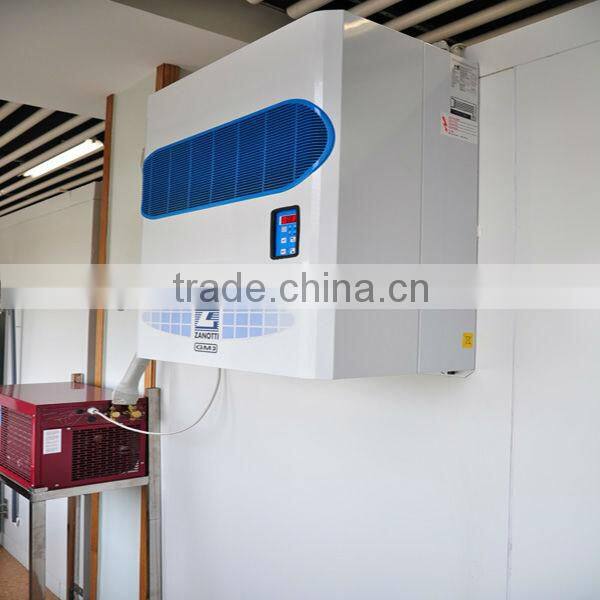 modular cold room freezer (Minus 5 centigrade adjustable)