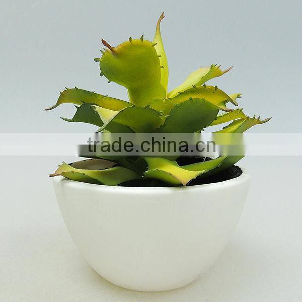 new model small ceramic pot plants for office decorating