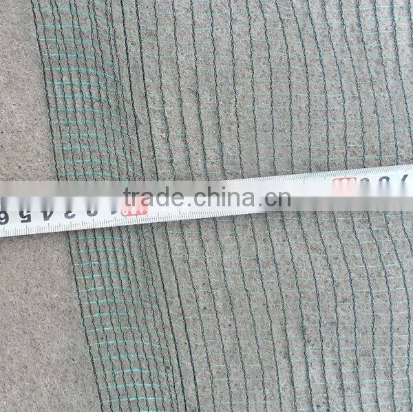 100% new HDPE material orchard hail protection net in rolls