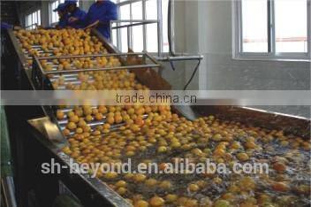 Fruit Surfing Washing Machine