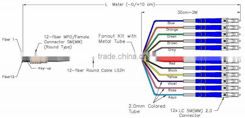 12 core breakout MPO -LC OM4 2.0mm fiber optic patch cord