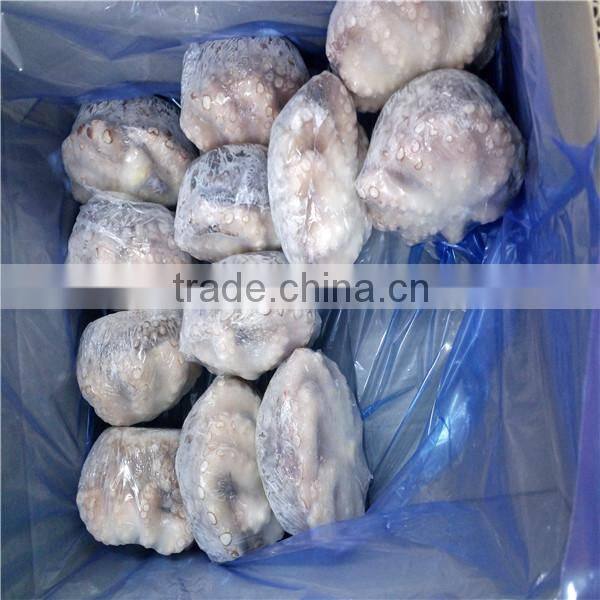 Raw Octopus from 300 grs to 2000 grs IQF in flower (20kg/ctn)