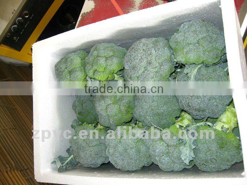 7.5kg foam box fresh broccoli