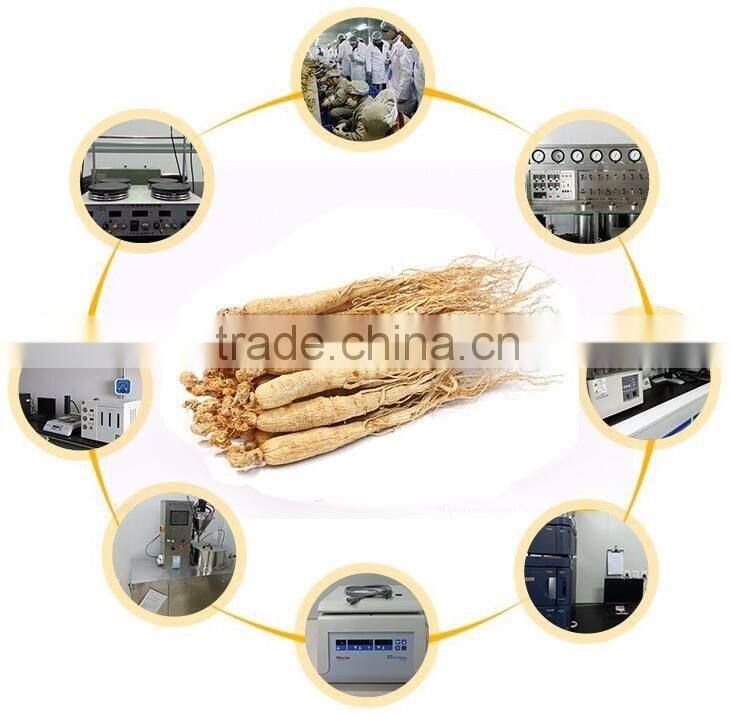 Hot sale china wholesale red ginseng root