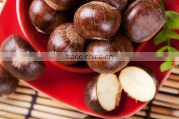 2015 new corp hot sale sweet organic and common fresh chestnuts 30/40 40/60