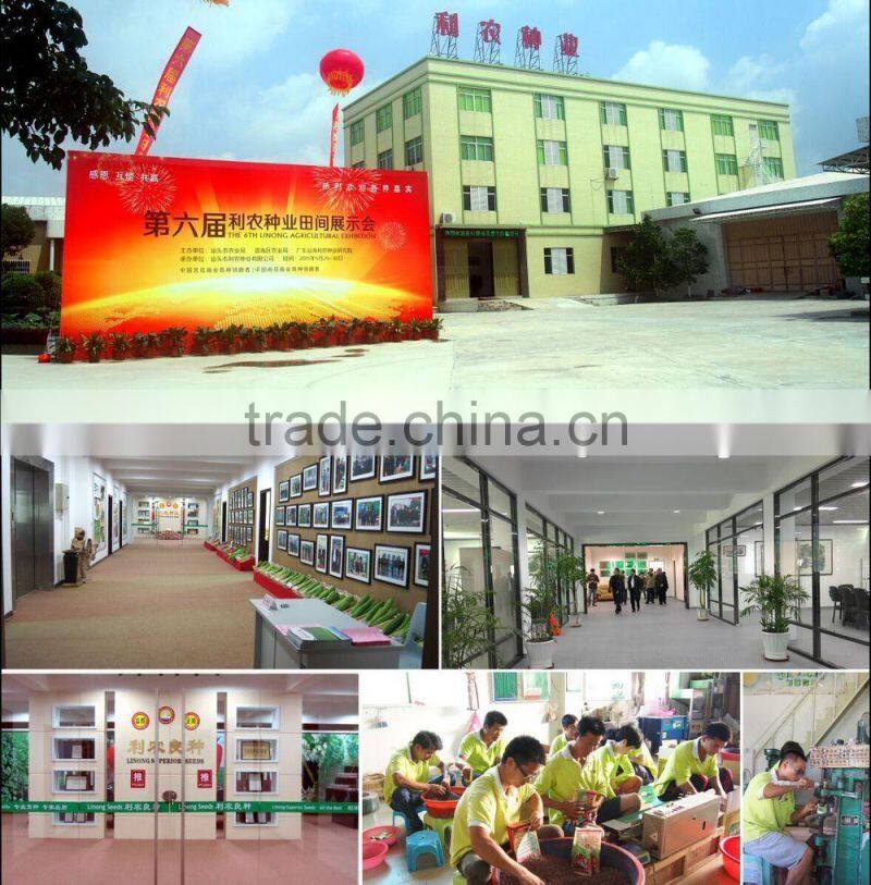 Linong long seeds vegetable gourd seeds