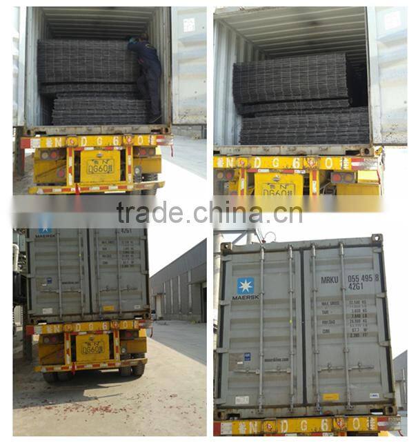 ISO9001 manufacturer chicken wire / heavy duty welded wire mesh panels