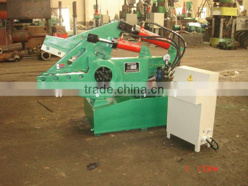 Large Metal Shear