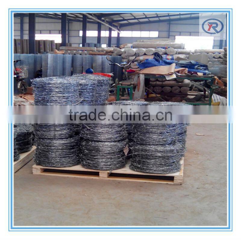 China supplier Cheap price galvanized Barbed wire/iron wire