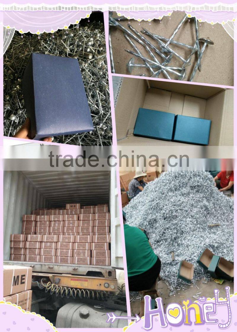 1"*11G Galvanized Umbrella Head Plain and Ring Shank Roofing Nail (factory)