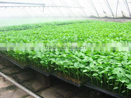New coming high grade 392 cell rice seedling trays